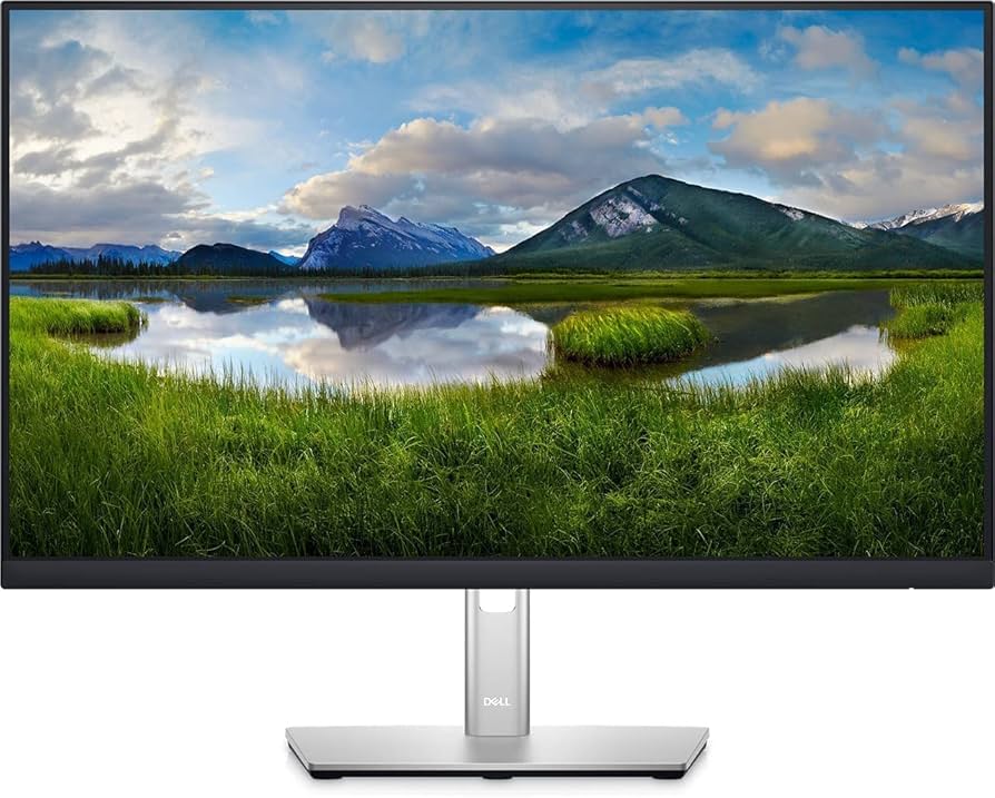 s*n様 【美品】DELL P2422H モニター2個とbestekモニターアー Dell P2422H 24